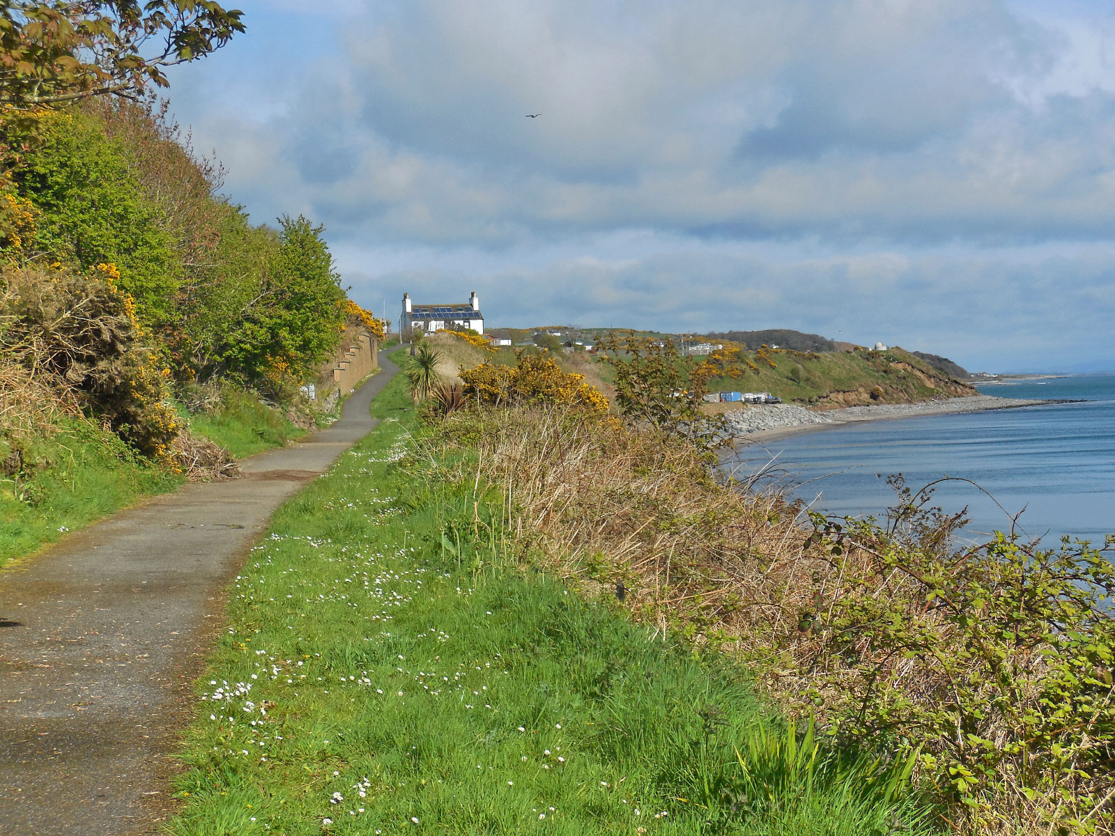 Drummore